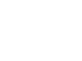 Allahar-Intelligence